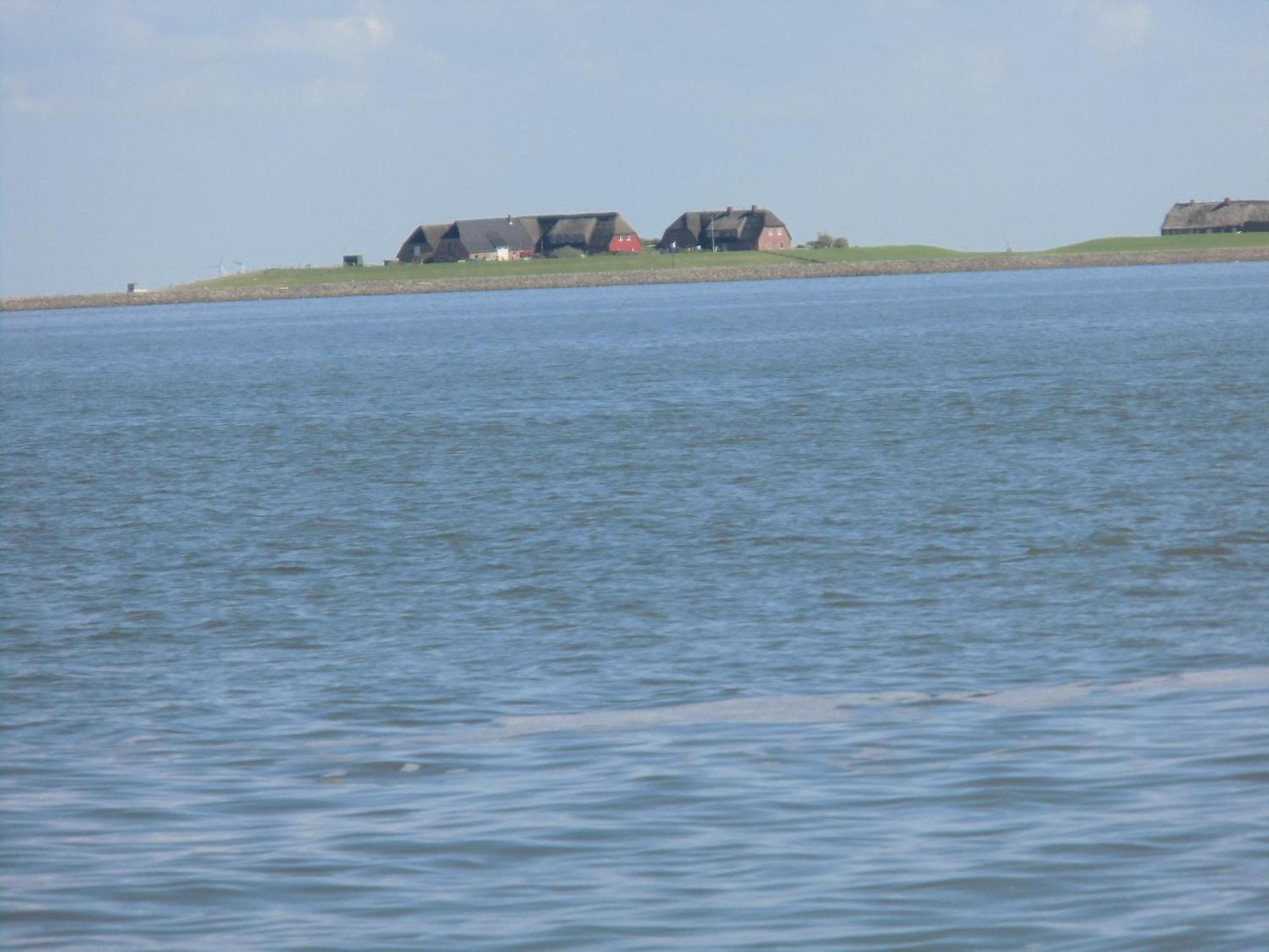 Haus Halligblick, Ferienwohnungen Am Wattenmeer, Whg Langenness Dagebüll 外观 照片